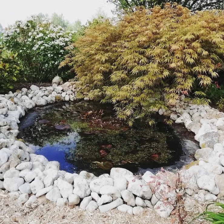 CREA 2 PAYSAGE Creation De Jardin Deauville Jardin 1