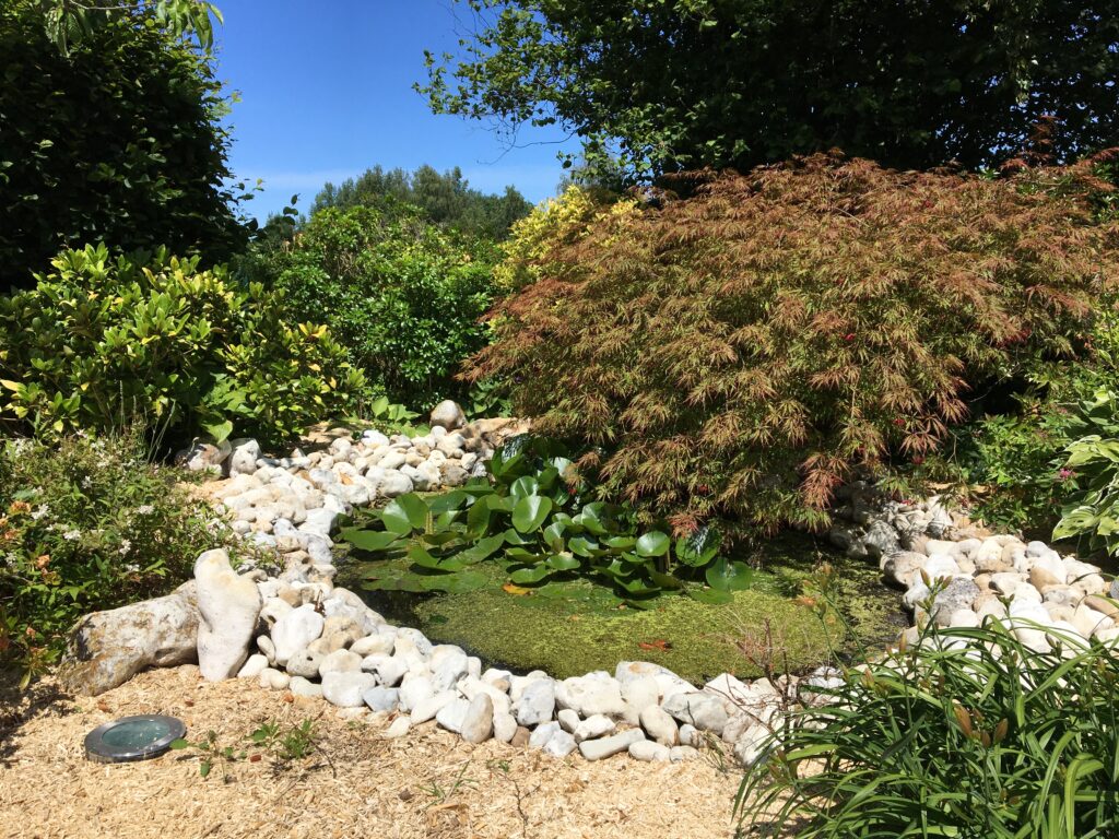 Crea 2 Paysage Creation De Jardin Deauville IMG 1999