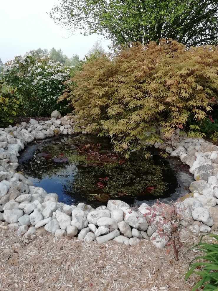 Crea 2 Paysage Creation De Jardin Deauville PART 1587228310741